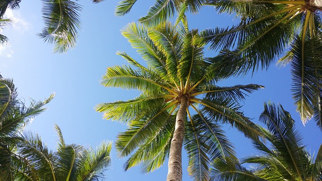 🏖️ 보라카이 가족여행, 완벽 리조트 가이드 👨‍👩‍👧‍👦